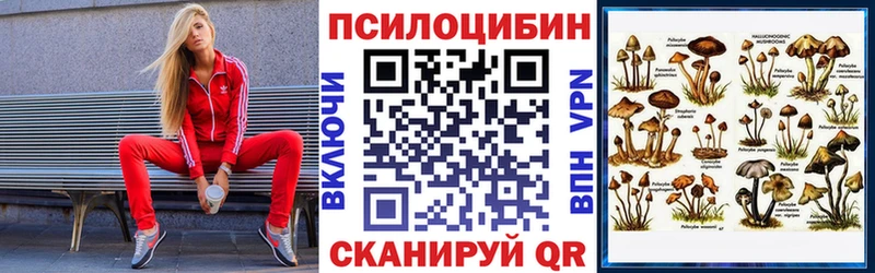 даркнет состав  купить наркоту  Дубовка  Галлюциногенные грибы мицелий 