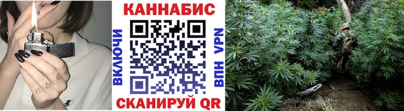 Канабис тримм  Дубовка 